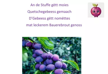 Quetschefest dën 6.Oktober